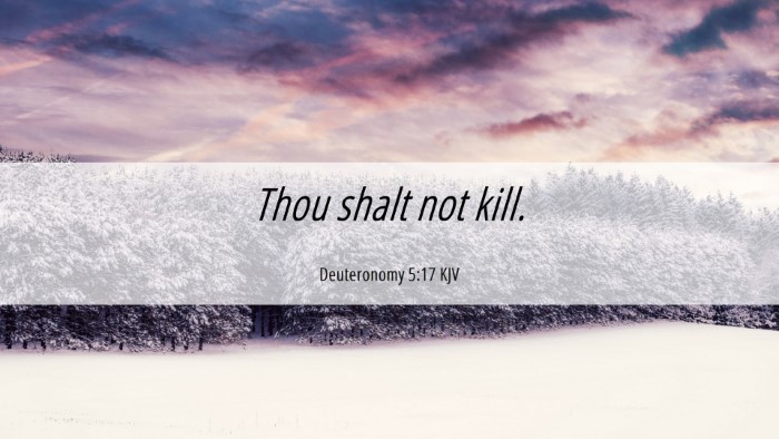 Picture 06 - Deuteronomy 5:17 KJV Desktop Wallpaper - Thou shalt not - Desktop Bible Verse Wallpaper