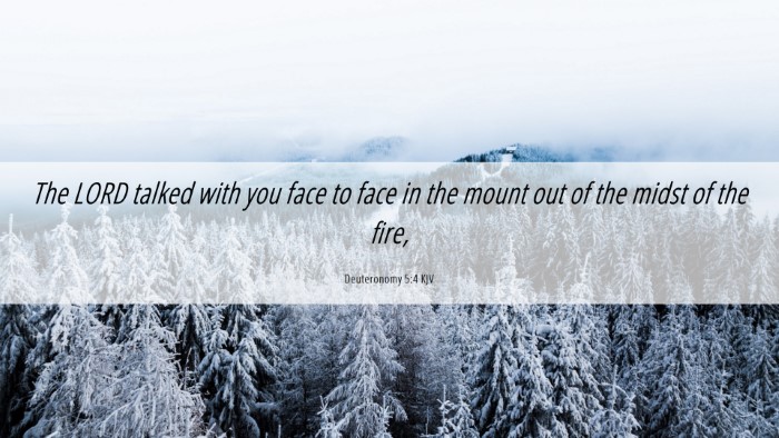 Picture 06 - Deuteronomy 5:4 KJV Desktop Wallpaper - The LORD talked with you face to face in the - Desktop Bible Verse Wallpaper