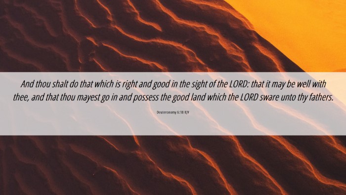 Picture 06 - Deuteronomy 6:18 KJV Desktop Wallpaper - And thou shalt do that which is right and good in - Desktop Bible Verse Wallpaper