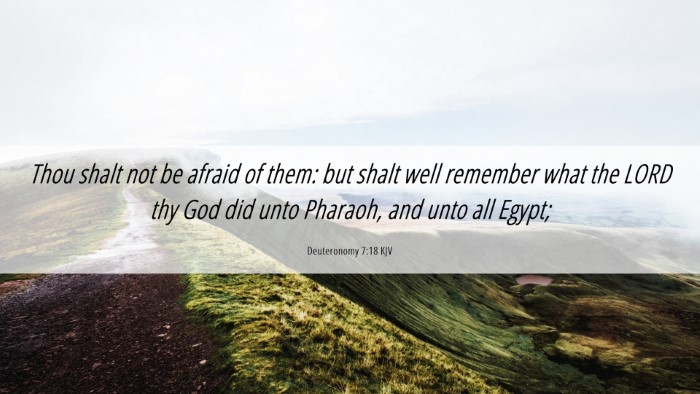 Picture 06 - Deuteronomy 7:18 KJV Desktop Wallpaper - Thou shalt not be afraid of them: but shalt well - Desktop Bible Verse Wallpaper