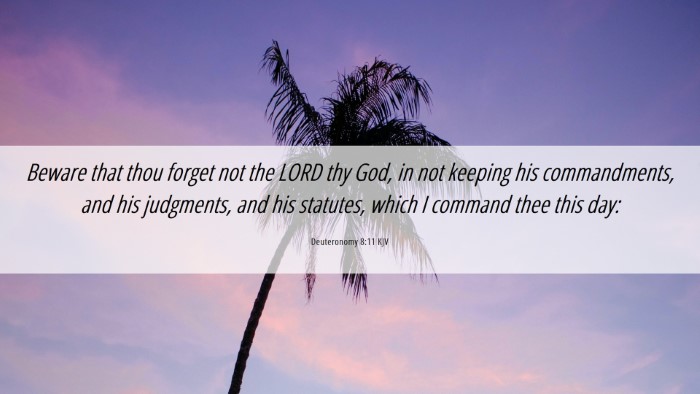 Picture 06 - Deuteronomy 8:11 KJV Desktop Wallpaper - Beware that thou forget not the LORD thy God, in - Desktop Bible Verse Wallpaper