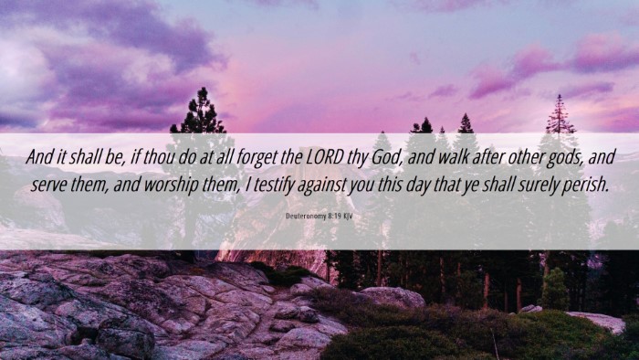 Picture 06 - Deuteronomy 8:19 KJV Desktop Wallpaper - And it shall be, if thou do at all forget the - Desktop Bible Verse Wallpaper