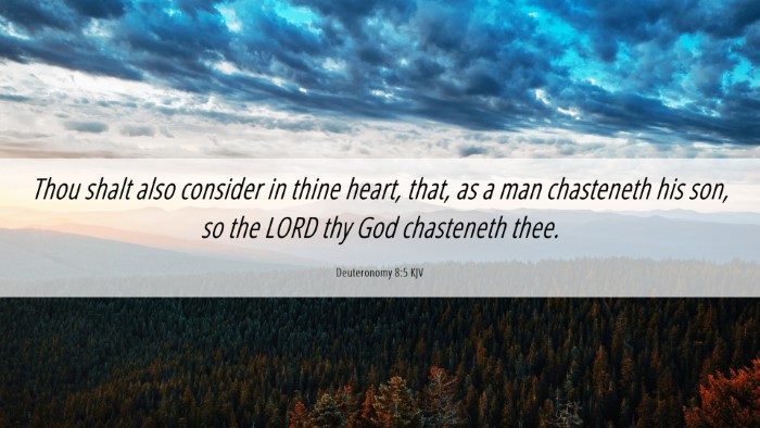 Picture 06 - Deuteronomy 8:5 KJV Desktop Wallpaper - Thou shalt also consider in thine heart, that, as - Desktop Bible Verse Wallpaper