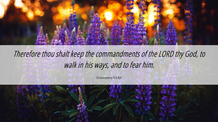 Picture 06 - Deuteronomy 8:6 KJV Desktop Wallpaper - Therefore thou shalt keep the commandments of the - Desktop Bible Verse Wallpaper