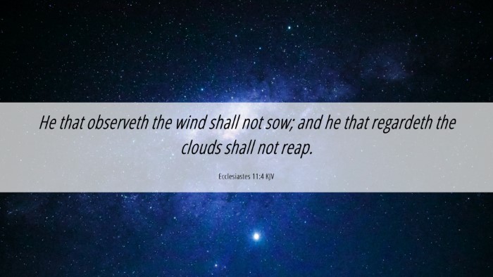 Picture 06 - Ecclesiastes 11:4 KJV Desktop Wallpaper - He that observeth the wind shall not sow; and he - Desktop Bible Verse Wallpaper