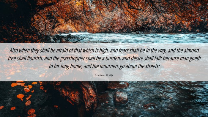 Picture 06 - Ecclesiastes 12:5 KJV Desktop Wallpaper - Also when they shall be afraid of that which is - Desktop Bible Verse Wallpaper