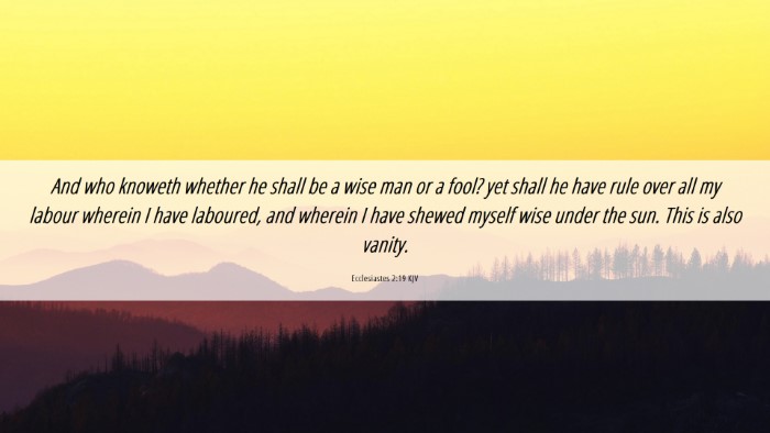 Picture 06 - Ecclesiastes 2:19 KJV Desktop Wallpaper - And who knoweth whether he shall be a wise man or - Desktop Bible Verse Wallpaper