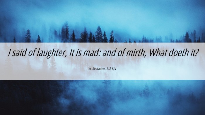 Picture 06 - Ecclesiastes 2:2 KJV Desktop Wallpaper - I said of laughter, It is mad: and of mirth, What - Desktop Bible Verse Wallpaper