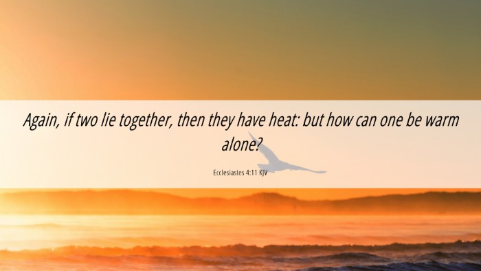 Picture 06 - Ecclesiastes 4:11 KJV Desktop Wallpaper - Again, if two lie together, then they have heat: - Desktop Bible Verse Wallpaper