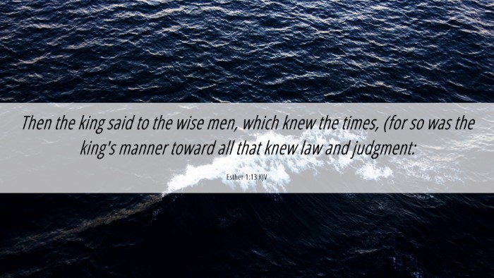 Picture 06 - Esther 1:13 KJV Desktop Wallpaper - Then the king said to the wise men, which knew - Desktop Bible Verse Wallpaper
