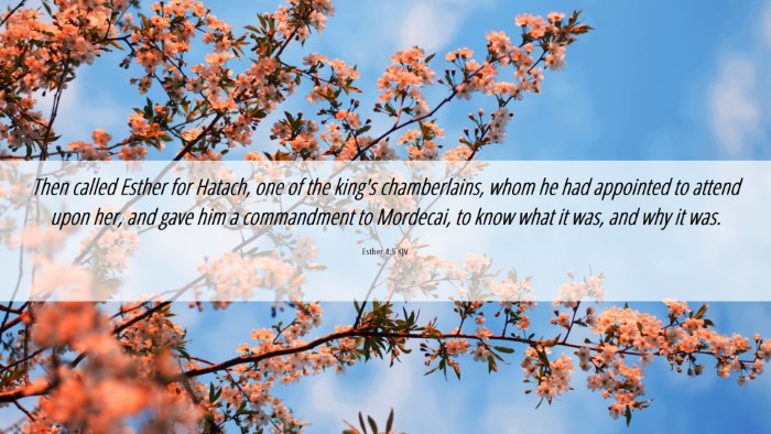 Picture 06 - Esther 4:5 KJV Desktop Wallpaper - Then called Esther for Hatach, one of the king's - Desktop Bible Verse Wallpaper