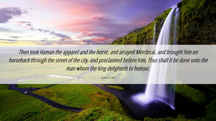 Picture 06 - Esther 6:11 KJV Desktop Wallpaper - Then took Haman the apparel and the horse, and - Desktop Bible Verse Wallpaper