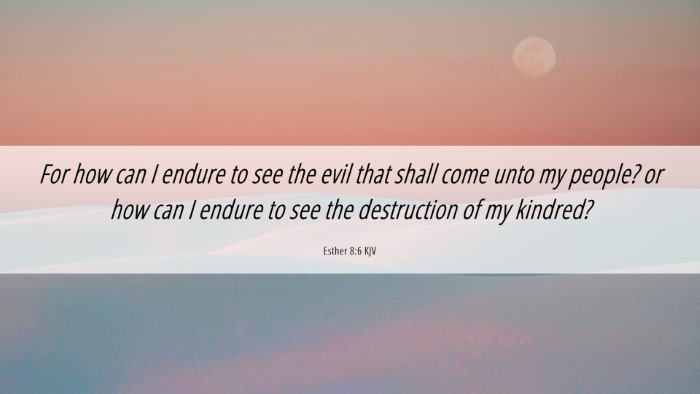 Picture 06 - Esther 8:6 KJV Desktop Wallpaper - For how can I endure to see the evil that shall - Desktop Bible Verse Wallpaper