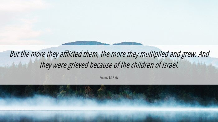 Picture 06 - Exodus 1:12 KJV Desktop Wallpaper - But the more they afflicted them, the more they - Desktop Bible Verse Wallpaper