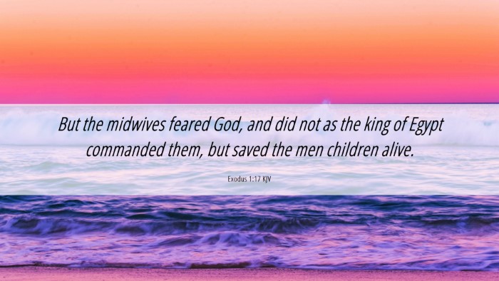 Picture 06 - Exodus 1:17 KJV Desktop Wallpaper - But the midwives feared God, and did not as the - Desktop Bible Verse Wallpaper