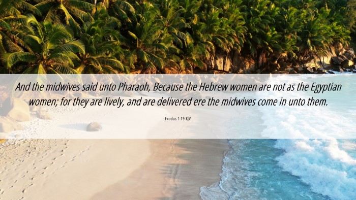 Picture 06 - Exodus 1:19 KJV Desktop Wallpaper - And the midwives said unto Pharaoh, Because the - Desktop Bible Verse Wallpaper