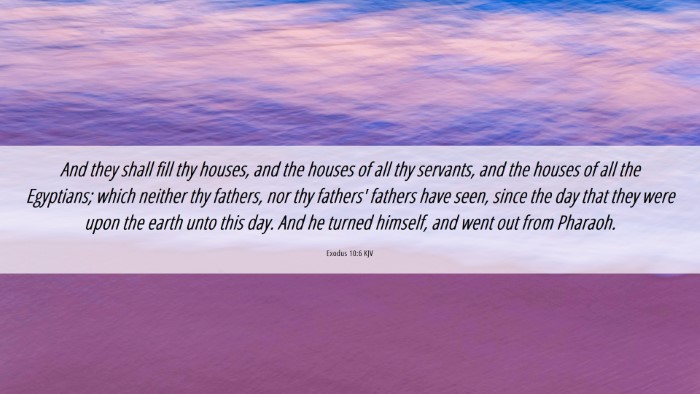 Picture 06 - Exodus 10:6 KJV Desktop Wallpaper - And they shall fill thy houses, and the houses of - Desktop Bible Verse Wallpaper