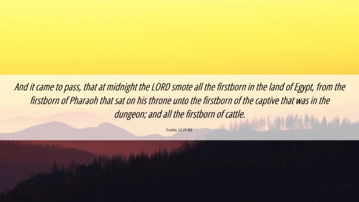Picture 06 - Exodus 12:29 KJV Desktop Wallpaper - And it came to pass, that at midnight the LORD - Desktop Bible Verse Wallpaper
