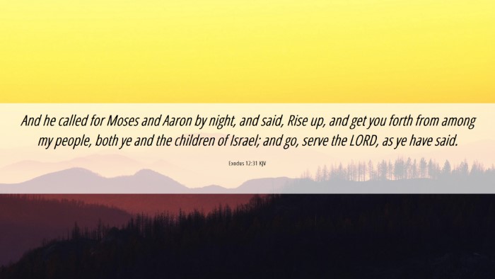 Picture 06 - Exodus 12:31 KJV Desktop Wallpaper - And he called for Moses and Aaron by night, and - Desktop Bible Verse Wallpaper