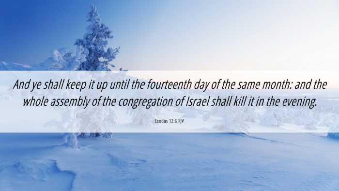 Picture 06 - Exodus 12:6 KJV Desktop Wallpaper - And ye shall keep it up until the fourteenth day - Desktop Bible Verse Wallpaper