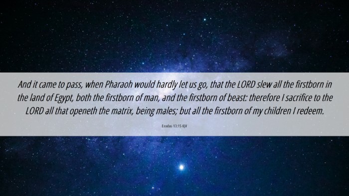 Picture 06 - Exodus 13:15 KJV Desktop Wallpaper - And it came to pass, when Pharaoh would hardly - Desktop Bible Verse Wallpaper