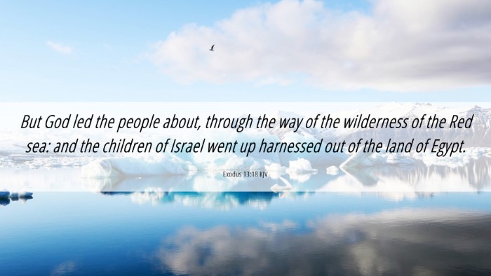 Picture 06 - Exodus 13:18 KJV Desktop Wallpaper - But God led the people about, through the way of - Desktop Bible Verse Wallpaper