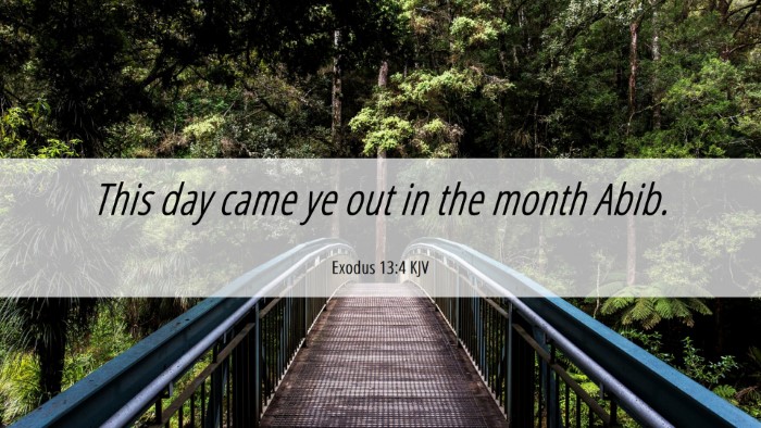 Picture 06 - Exodus 13:4 KJV Desktop Wallpaper - This day came ye out in the month - Desktop Bible Verse Wallpaper