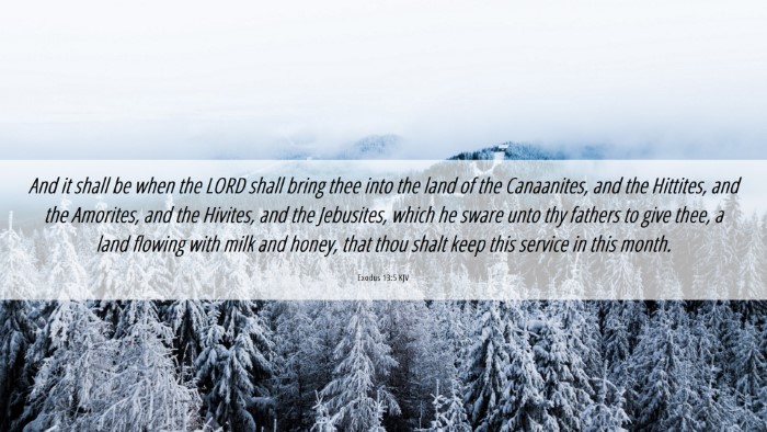 Picture 06 - Exodus 13:5 KJV Desktop Wallpaper - And it shall be when the LORD shall bring thee - Desktop Bible Verse Wallpaper