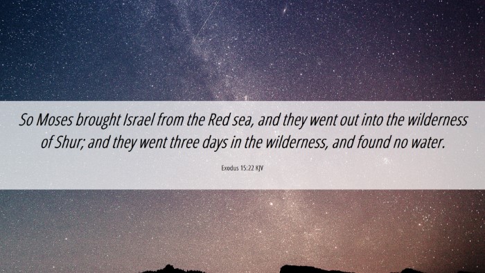 Picture 06 - Exodus 15:22 KJV Desktop Wallpaper - So Moses brought Israel from the Red sea, and - Desktop Bible Verse Wallpaper