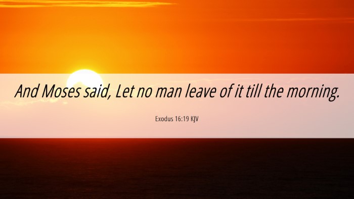 Picture 06 - Exodus 16:19 KJV Desktop Wallpaper - And Moses said, Let no man leave of it till the - Desktop Bible Verse Wallpaper
