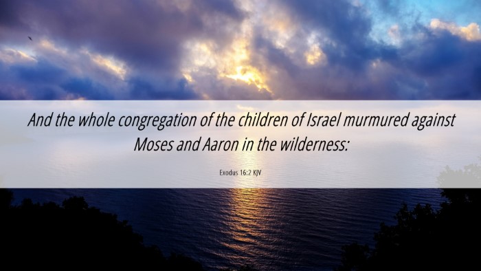 Picture 06 - Exodus 16:2 KJV Desktop Wallpaper - And the whole congregation of the children of - Desktop Bible Verse Wallpaper