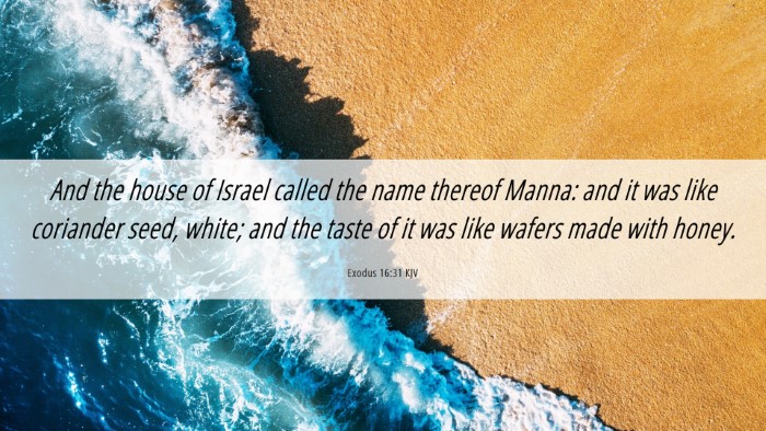 Picture 06 - Exodus 16:31 KJV Desktop Wallpaper - And the house of Israel called the name thereof - Desktop Bible Verse Wallpaper