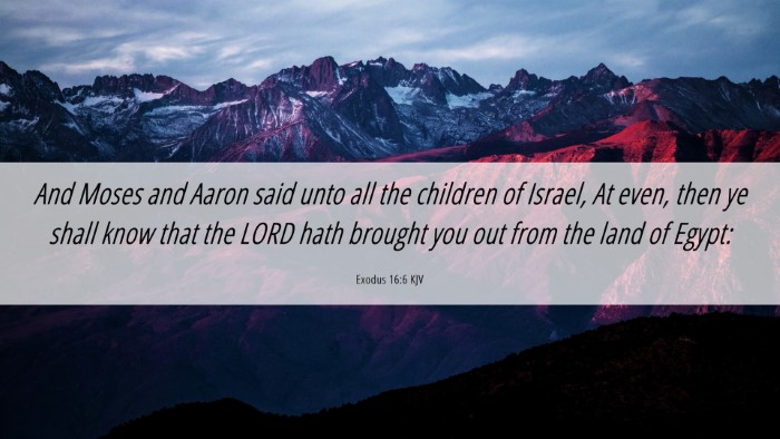 Picture 06 - Exodus 16:6 KJV Desktop Wallpaper - And Moses and Aaron said unto all the children of - Desktop Bible Verse Wallpaper
