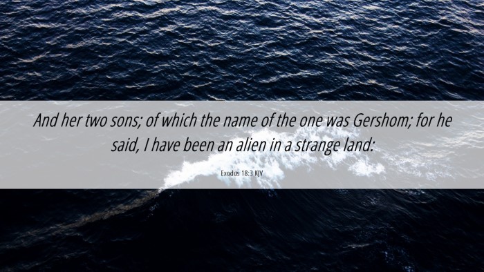 Picture 06 - Exodus 18:3 KJV Desktop Wallpaper - And her two sons; of which the name of the one - Desktop Bible Verse Wallpaper