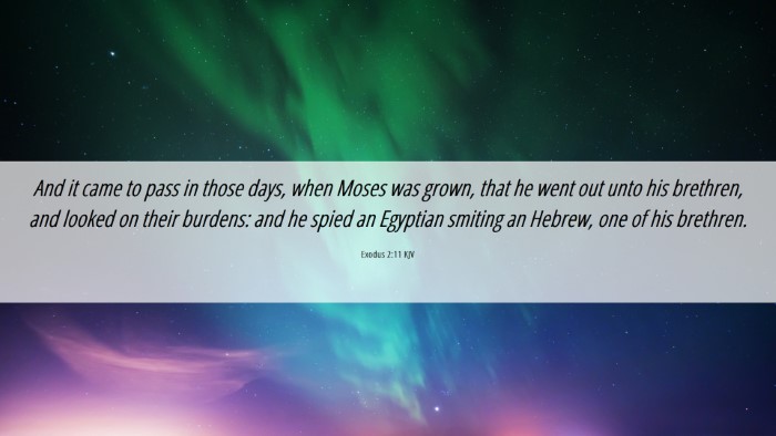 Picture 06 - Exodus 2:11 KJV Desktop Wallpaper - And it came to pass in those days, when Moses was - Desktop Bible Verse Wallpaper