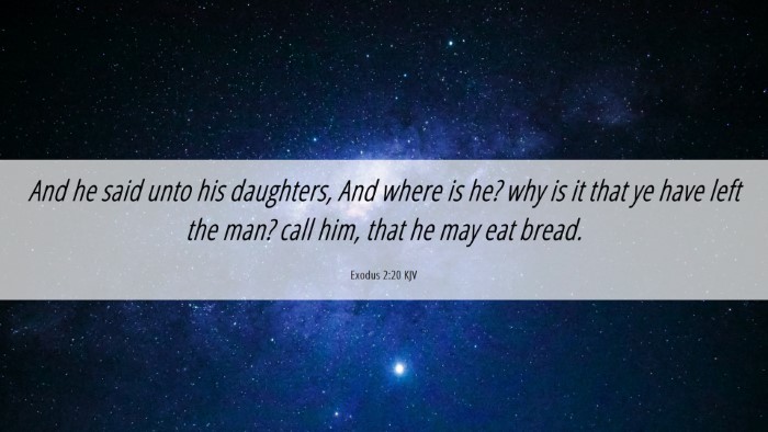 Picture 06 - Exodus 2:20 KJV Desktop Wallpaper - And he said unto his daughters, And where is he? - Desktop Bible Verse Wallpaper