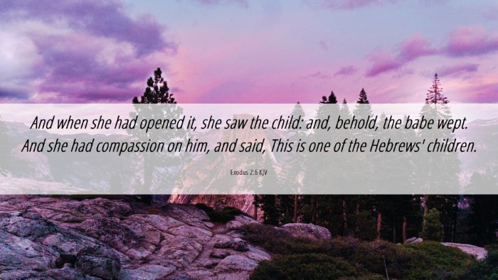 Picture 06 - Exodus 2:6 KJV Desktop Wallpaper - And when she had opened it, she saw the child: - Desktop Bible Verse Wallpaper