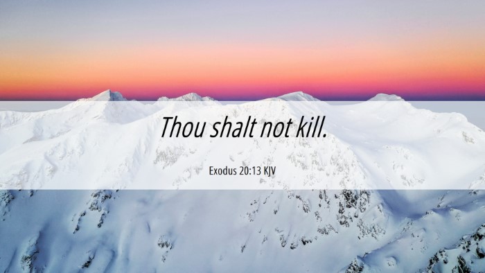 Picture 06 - Exodus 20:13 KJV Desktop Wallpaper - Thou shalt not - Desktop Bible Verse Wallpaper