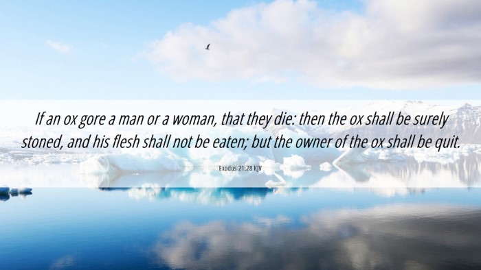Picture 06 - Exodus 21:28 KJV Desktop Wallpaper - If an ox gore a man or a woman, that they die: - Desktop Bible Verse Wallpaper