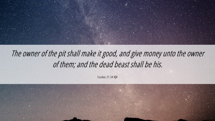 Picture 06 - Exodus 21:34 KJV Desktop Wallpaper - The owner of the pit shall make it good, and give - Desktop Bible Verse Wallpaper