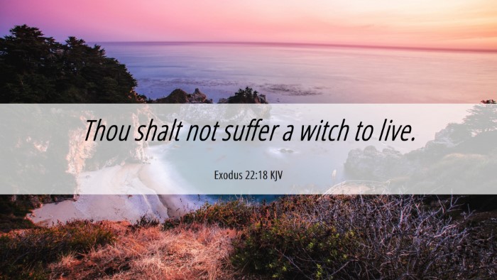 Picture 06 - Exodus 22:18 KJV Desktop Wallpaper - Thou shalt not suffer a witch to - Desktop Bible Verse Wallpaper