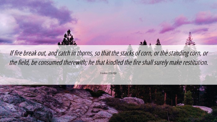 Picture 06 - Exodus 22:6 KJV Desktop Wallpaper - If fire break out, and catch in thorns, so that - Desktop Bible Verse Wallpaper