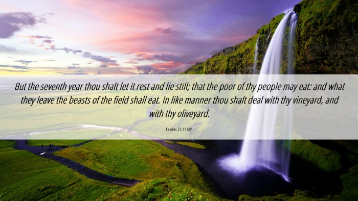 Picture 06 - Exodus 23:11 KJV Desktop Wallpaper - But the seventh year thou shalt let it rest and - Desktop Bible Verse Wallpaper