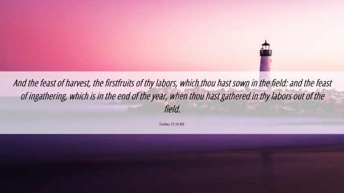 Picture 06 - Exodus 23:16 KJV Desktop Wallpaper - And the feast of harvest, the firstfruits of thy - Desktop Bible Verse Wallpaper