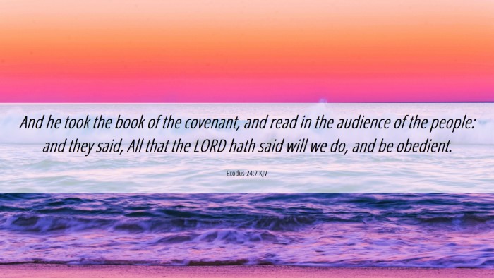 Picture 06 - Exodus 24:7 KJV Desktop Wallpaper - And he took the book of the covenant, and read in - Desktop Bible Verse Wallpaper
