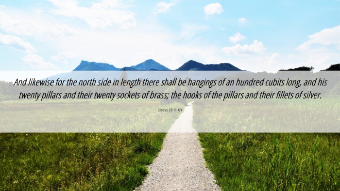 Picture 06 - Exodus 27:11 KJV Desktop Wallpaper - And likewise for the north side in length there - Desktop Bible Verse Wallpaper