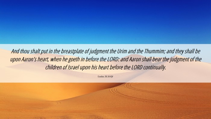 Picture 06 - Exodus 28:30 KJV Desktop Wallpaper - And thou shalt put in the breastplate of judgment - Desktop Bible Verse Wallpaper