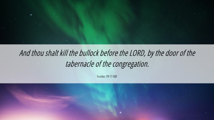 Picture 06 - Exodus 29:11 KJV Desktop Wallpaper - And thou shalt kill the bullock before the LORD, - Desktop Bible Verse Wallpaper