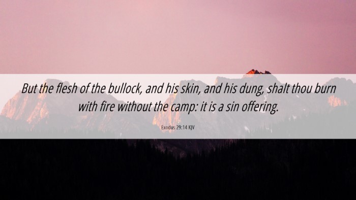 Picture 06 - Exodus 29:14 KJV Desktop Wallpaper - But the flesh of the bullock, and his skin, and - Desktop Bible Verse Wallpaper