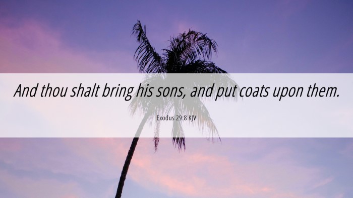Picture 06 - Exodus 29:8 KJV Desktop Wallpaper - And thou shalt bring his sons, and put coats upon - Desktop Bible Verse Wallpaper